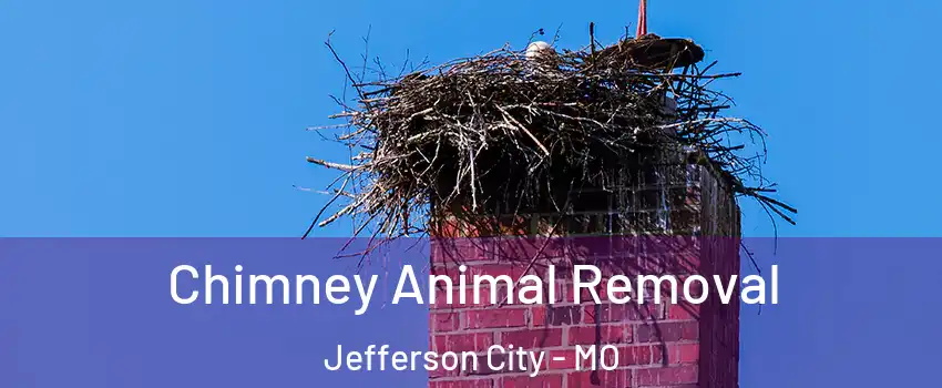 Chimney Animal Removal Jefferson City - MO