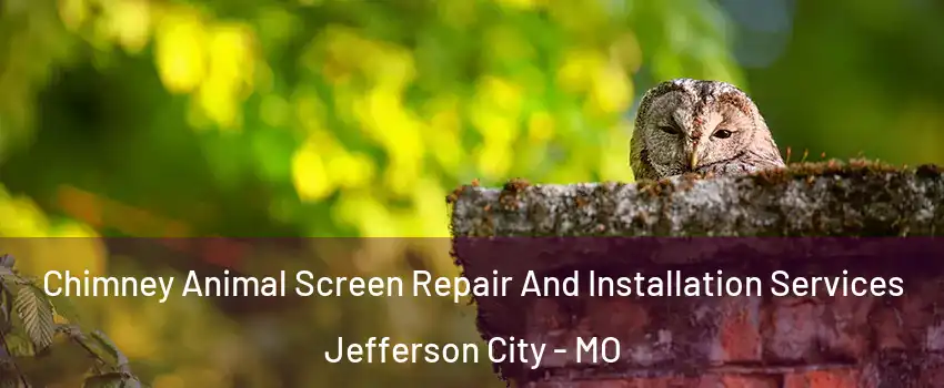  Chimney Animal Screen Repair And Installation Services Jefferson City - MO