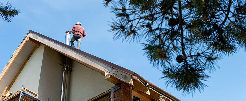 Birds Removal Contractors from Chimney in Jefferson City, MO