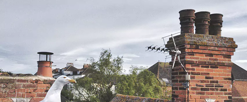 Chimney Cleaning And Restoration in Jefferson City, Missouri