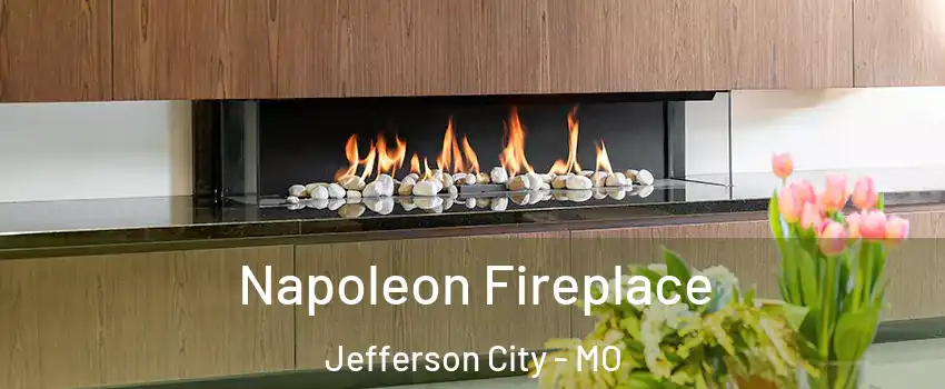  Napoleon Fireplace Jefferson City - MO